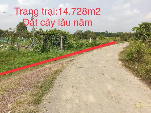 Bán trang trại 14.728m2 xã Thái Mỹ - H.Củ Chi- Tp Hồ Chí Minh giá 14,5 tỷ